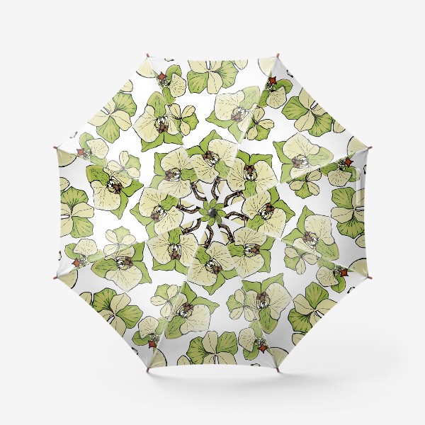 Зонт &laquo;зеленая орхидея&raquo;