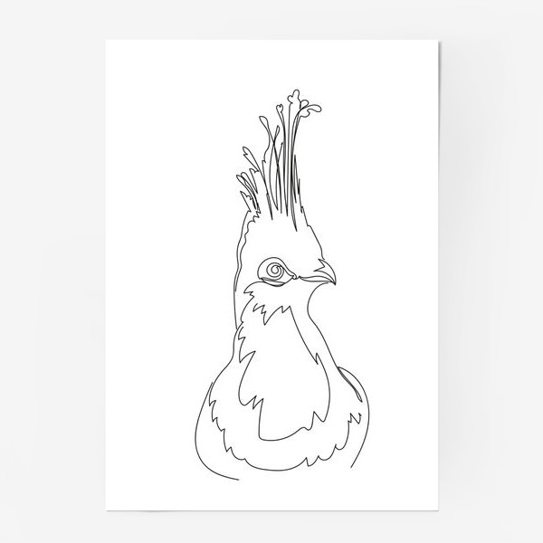 Постер «Птица. Графика. Линейный рисунок.»