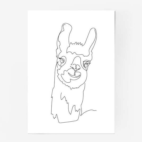 Постер «Забавная альпака/Лама. Графика. Линейный рисунок»