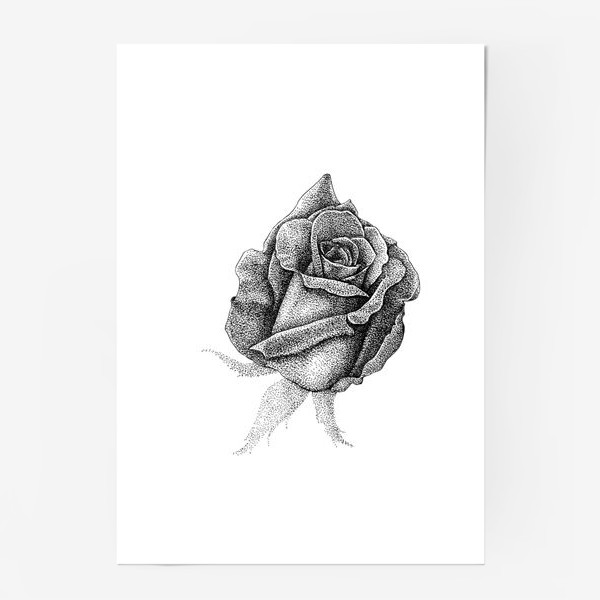 Постер «роза»