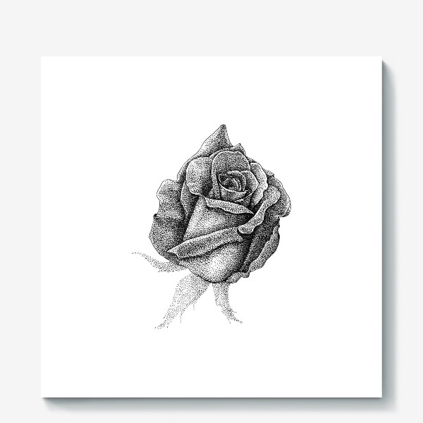 Холст «роза»