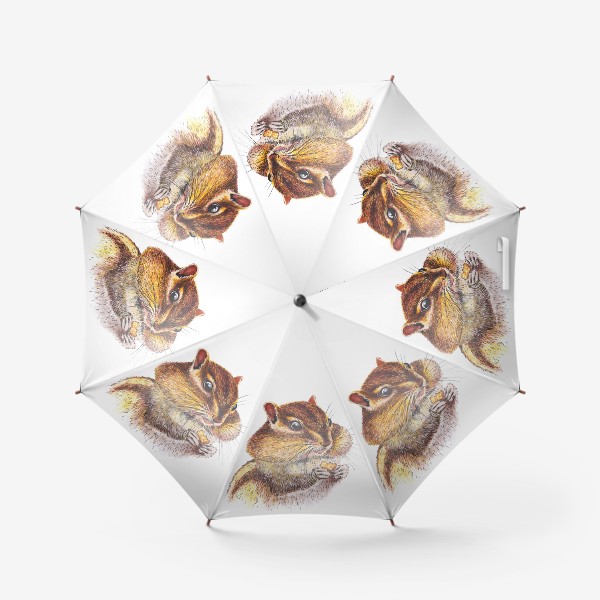 Зонт «Жующий Бурундук »