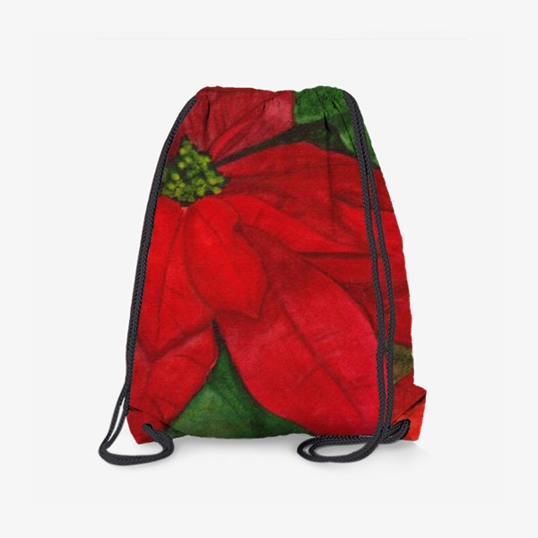 Рюкзак «Рождественский цветок»