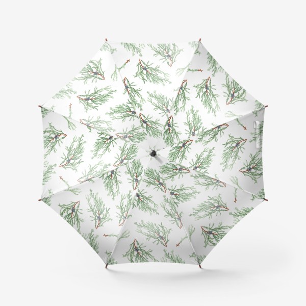 Зонт «Можжевельник хвойное зимнее растение. Акварельный ботанический новогодний паттерн на белом фоне»