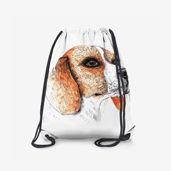 Рюкзак «Собака Бигль Рисунок»