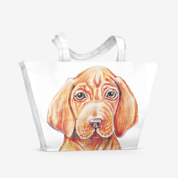 Пляжная сумка «Собака, венгерская выжла,легавая»