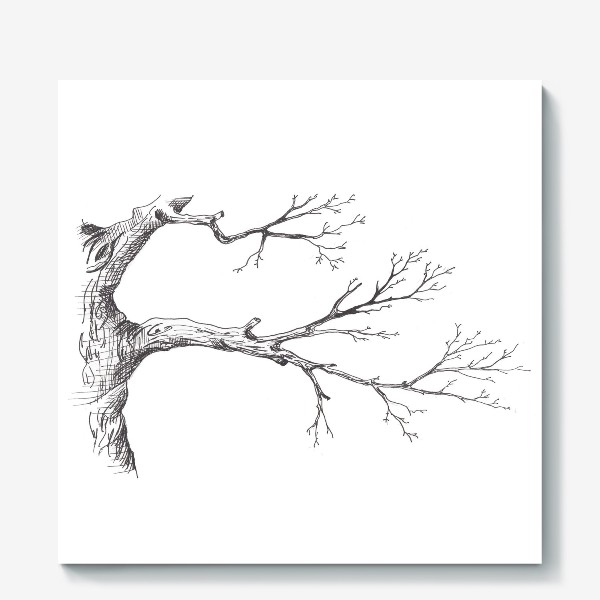 Холст «Ветка дерева»