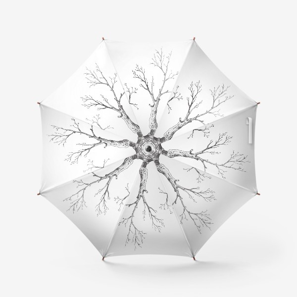 Зонт «Ветка дерева»
