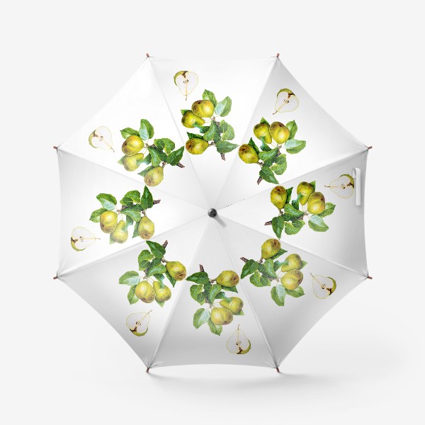 Зонт «Фрукты, зелёные груши на ветке. Ботаническая иллюстрация»