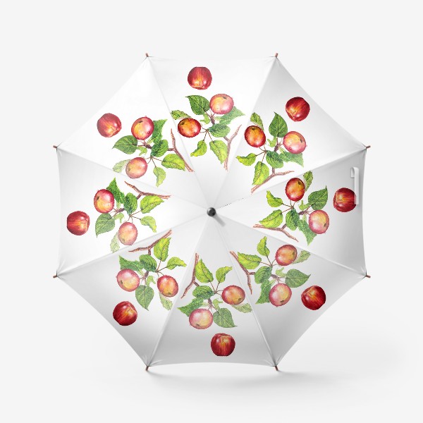 Зонт «Фрукты, красные яблоки на ветке. Ботаническая иллюстрация»