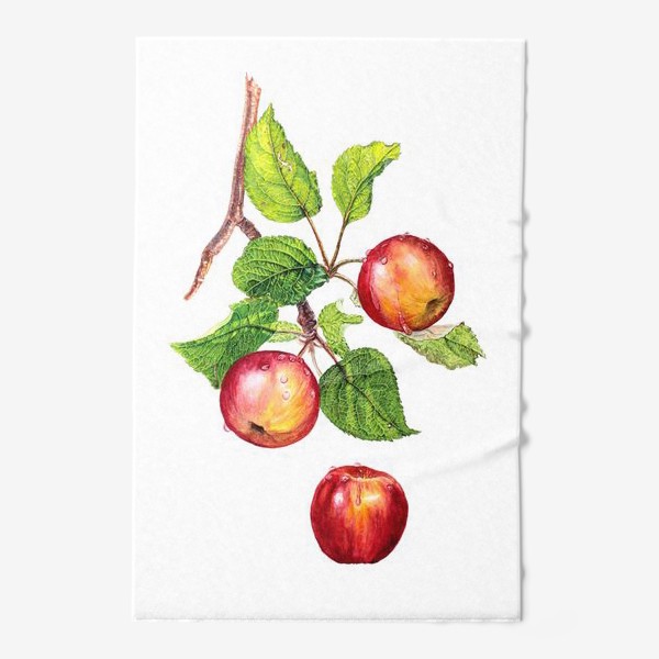 Полотенце «Фрукты, красные яблоки на ветке. Ботаническая иллюстрация»