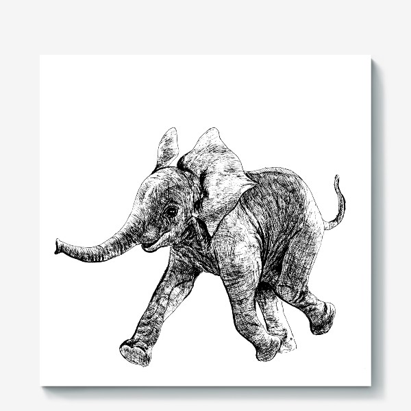 Холст «слон»