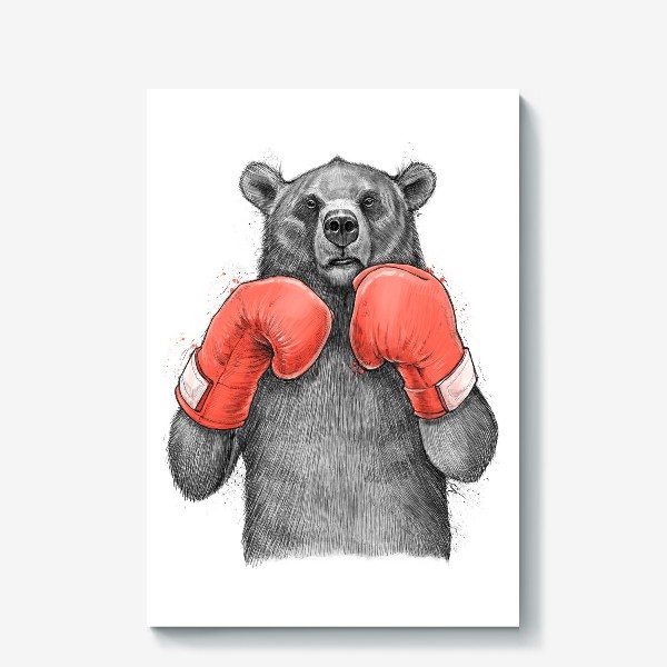 Холст «Медведь боксер»