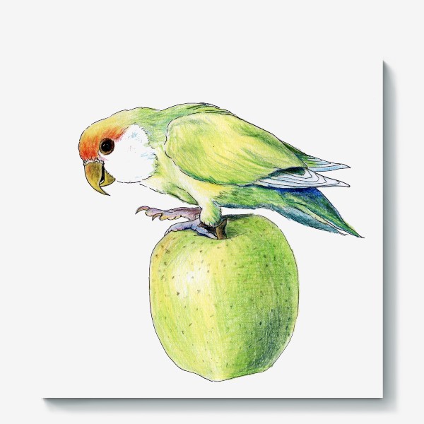 Холст «попугай на яблоке»