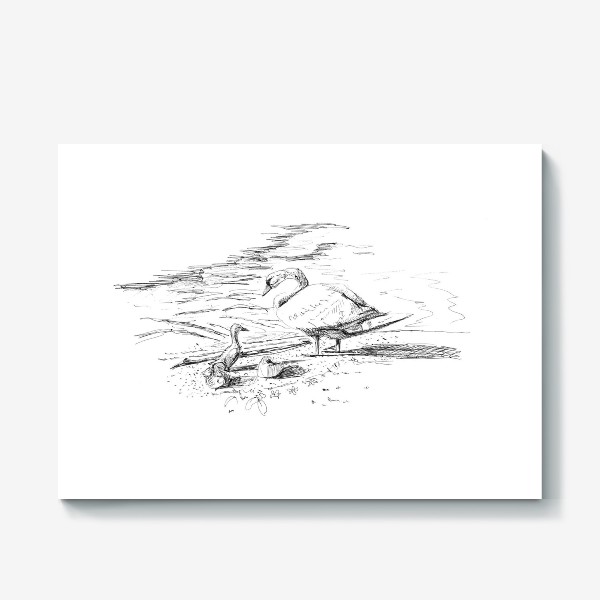 Холст «Рисунок черной ручкой: лебедь с лебедятами около озера. Скан.»