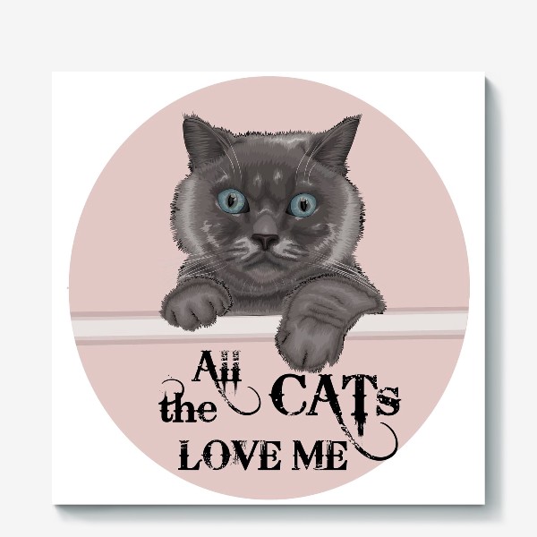 Холст «Все кошки любят меня»