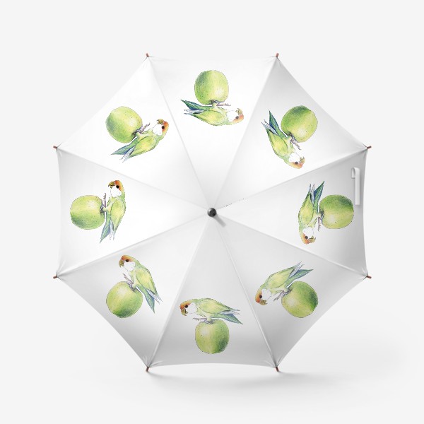 Зонт «попугай на яблоке»