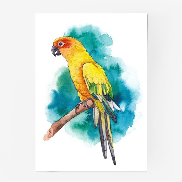 Постер «Птица Желтый Попугай»