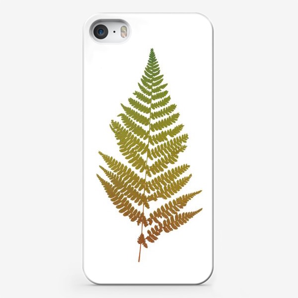 Чехол iPhone «Растение папоротник, природа, гербарий, лес»