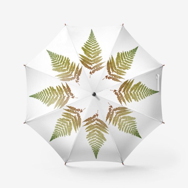 Зонт «Растение папоротник, природа, гербарий, лес»