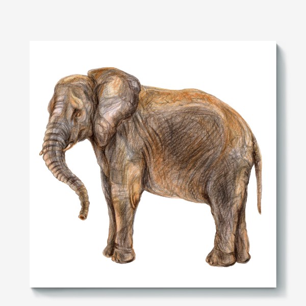 Холст «Африканский слон»