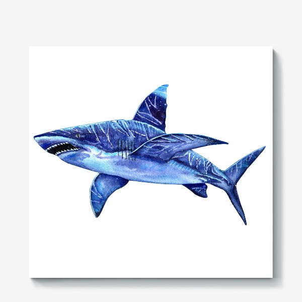 Холст «акула»