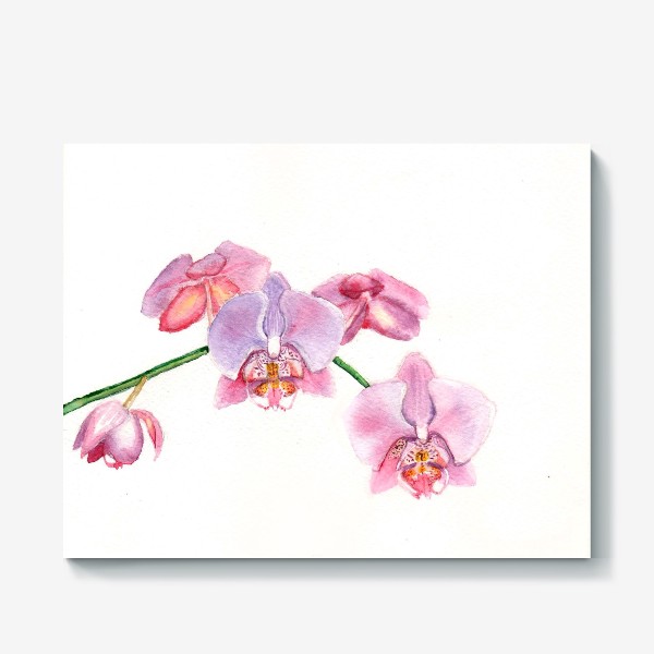 Холст «Орхидея Акварель»