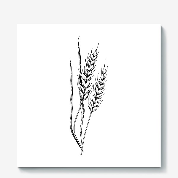 Холст «Пшеница»