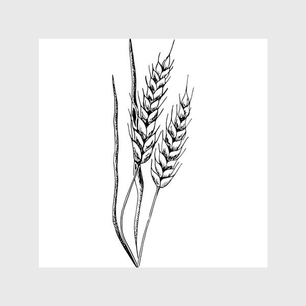 Шторы «Пшеница»
