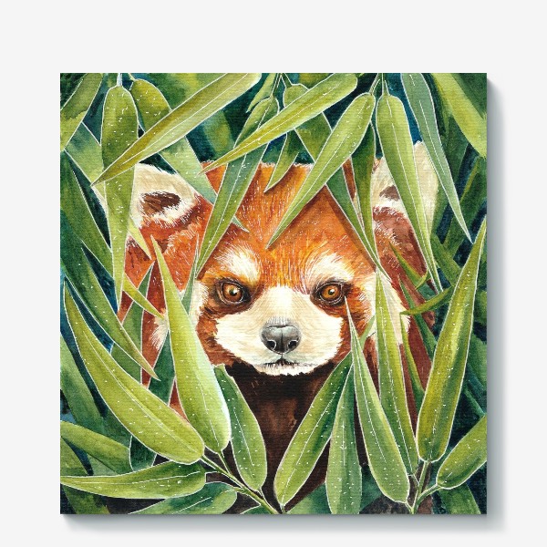 Холст «Красная Панда в листьях бамбука»