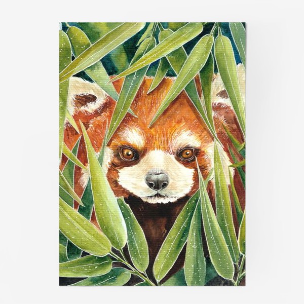 Постер «Красная Панда в листьях бамбука»