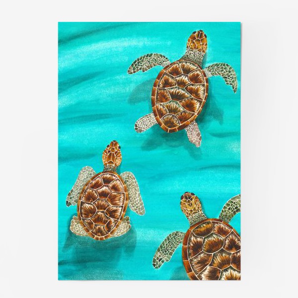 Постер «Плывущие морские черепахи»