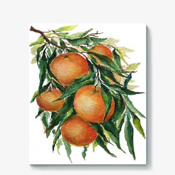 Холст «апельсины на ветке»