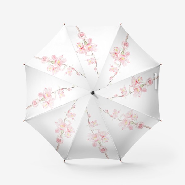 Зонт «Цветущая вишня. Карандаш и акварель»