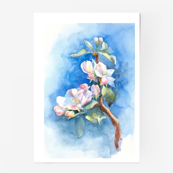 Постер «Цветы яблони»