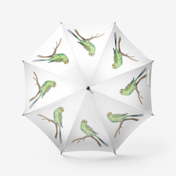 Зонт «волнистый попугай»