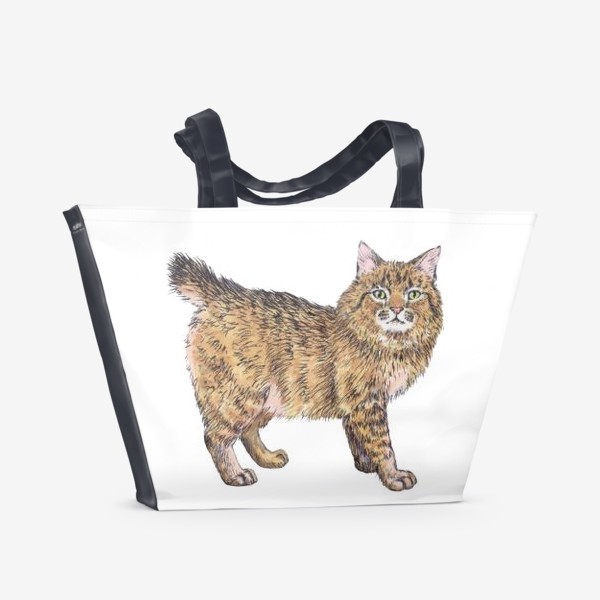 Пляжная сумка «Породистый котик пикси боб»