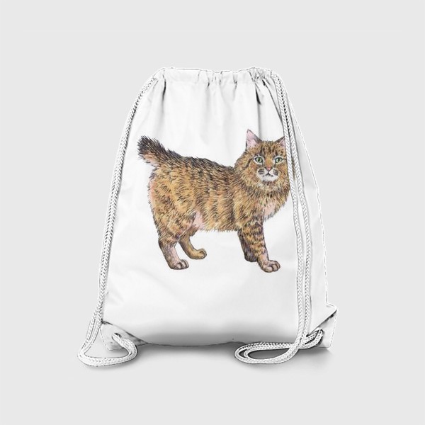 Рюкзак «Породистый котик пикси боб»