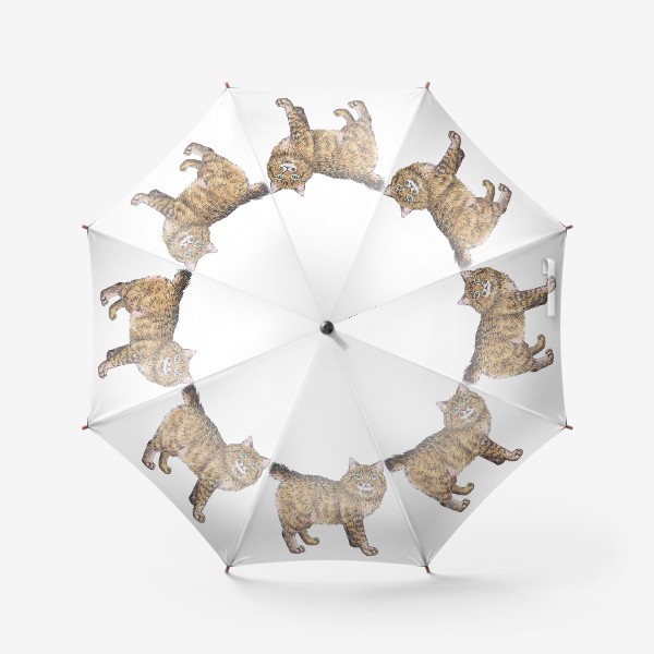 Зонт «Породистый котик пикси боб»