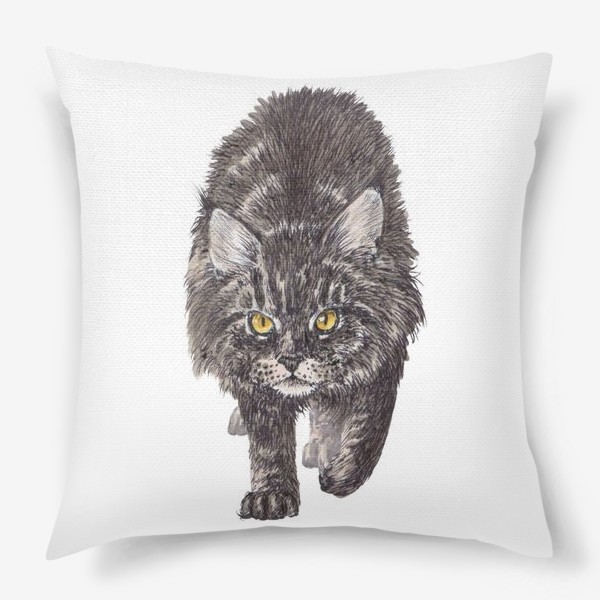Подушка «Суровый кот мейн кун»