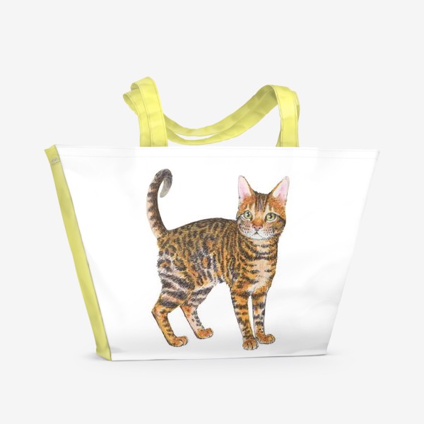 Пляжная сумка «Породистый котик тойгер»