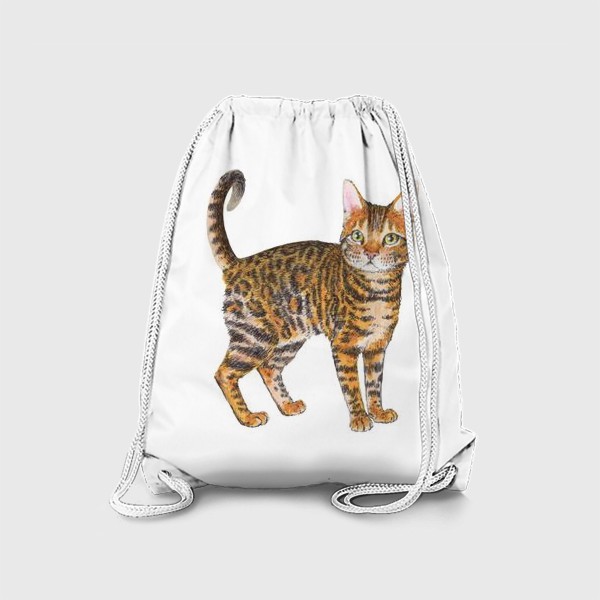 Рюкзак «Породистый котик тойгер»