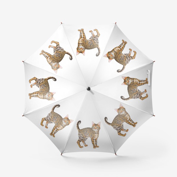 Зонт «Породистый котик тойгер»