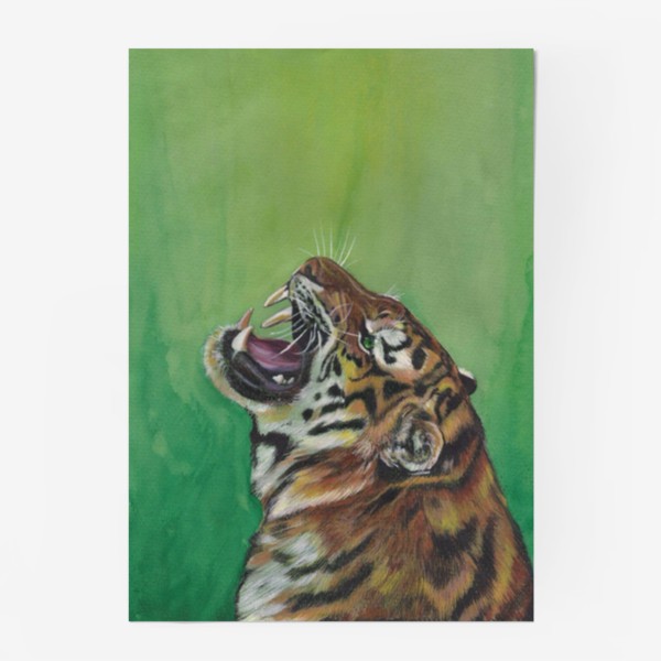 Постер «Тигр »