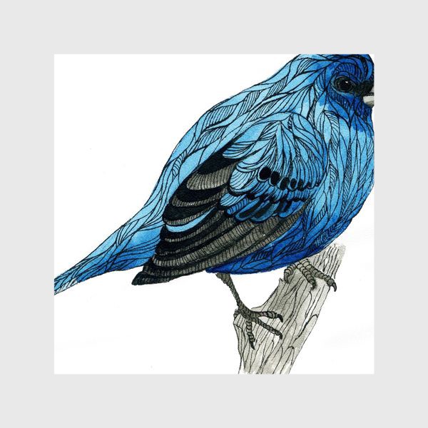 Шторы «Синяя птица»