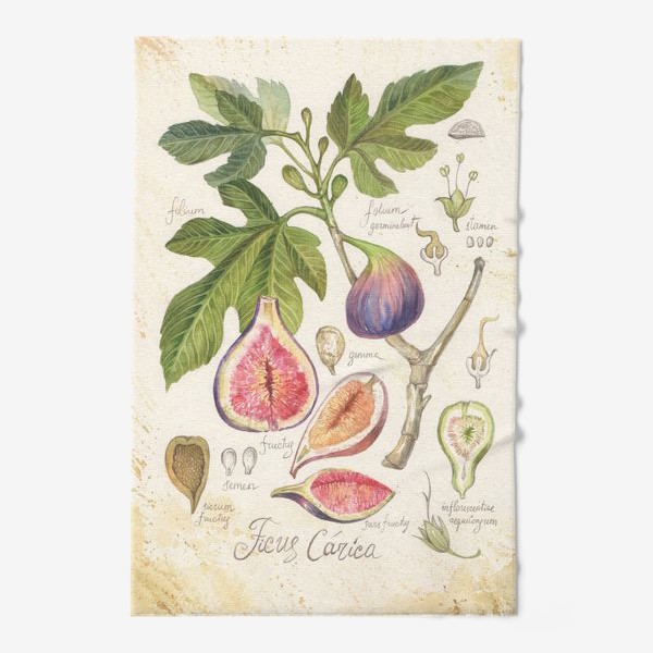 Полотенце «ботаническая иллююстрация инжир»