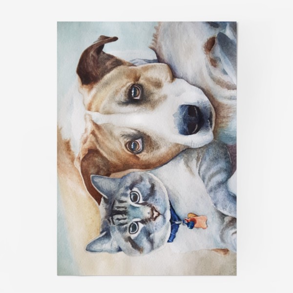 Постер «Кот и собака»