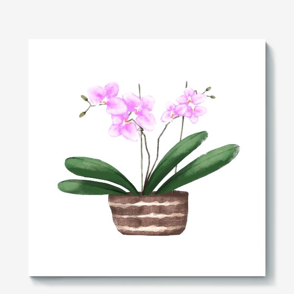 Холст «Орхидея в горшке»