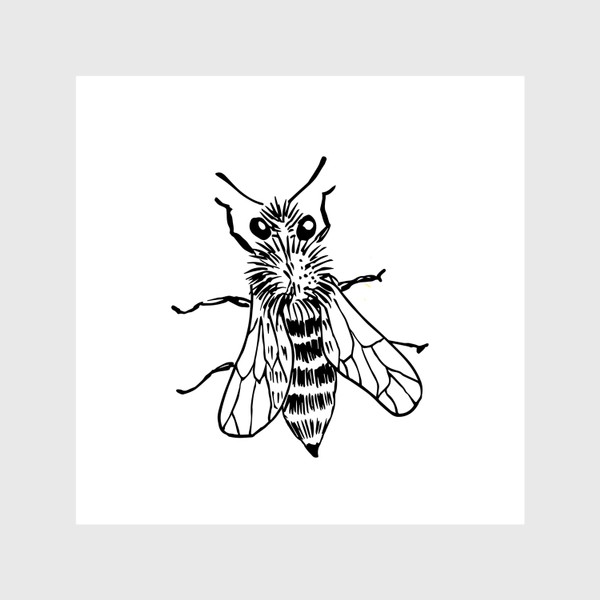 Шторы «Пчела скетч»