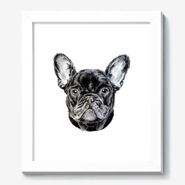 Картина «собака черный французский бульдог»